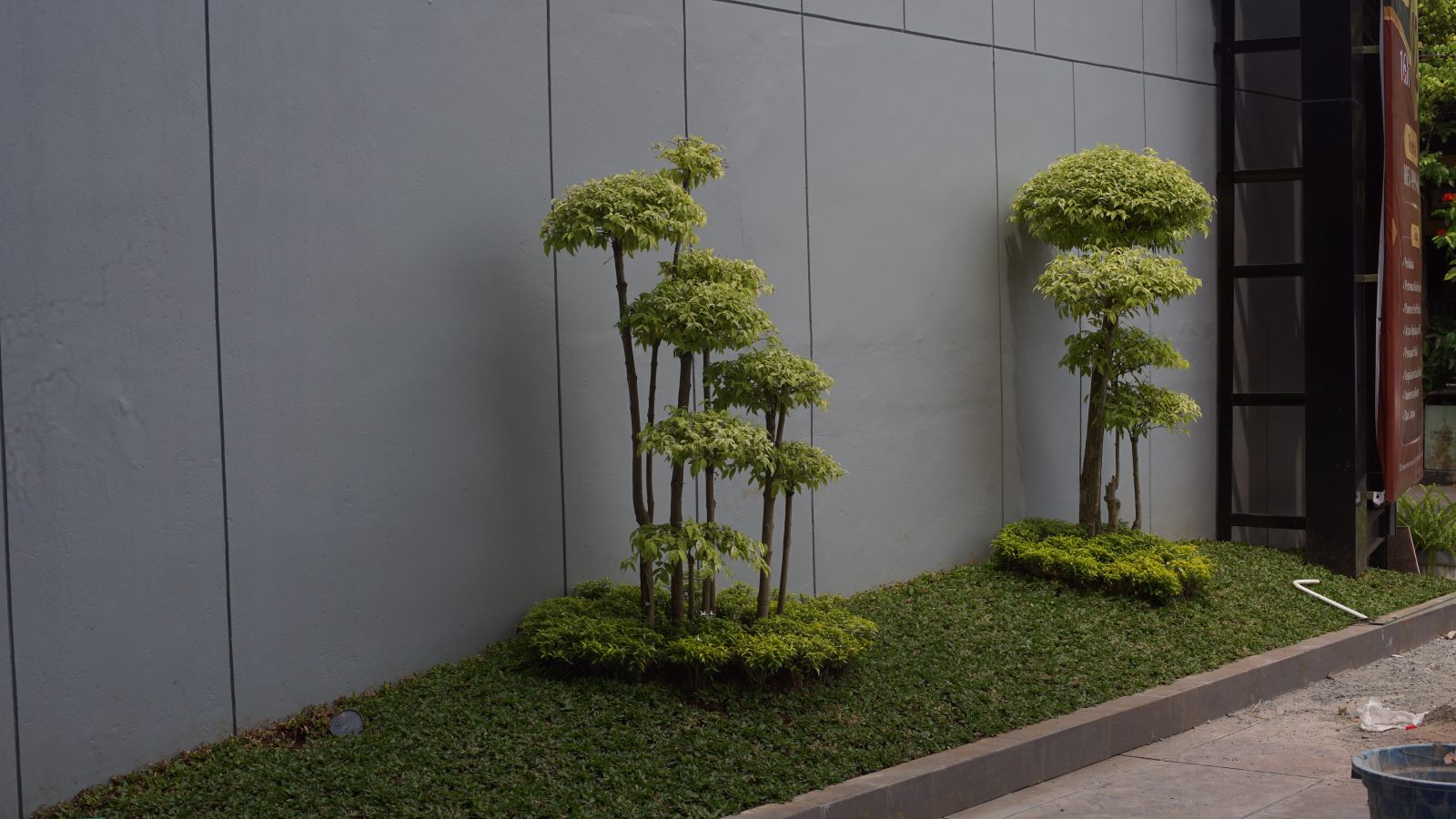 Taman kering